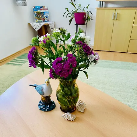 Appartamento Flunder Zempin